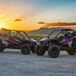 Polaris RZR Pro R Race Replica Limited Edition